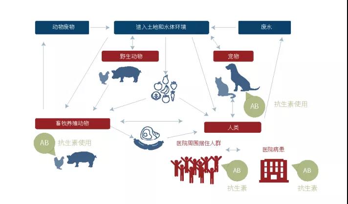 人们会因为吃肉而产生抗生素耐药性吗