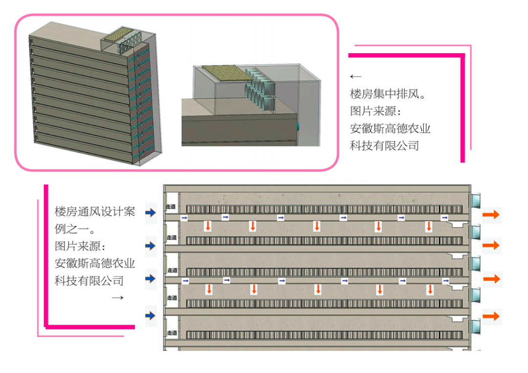 风口超18家巨头布局楼房养猪广东四川项目最多