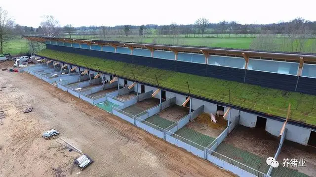 太阳能电池板将安装在边缘,高于植物屋顶.第二个猪舍将建在左边