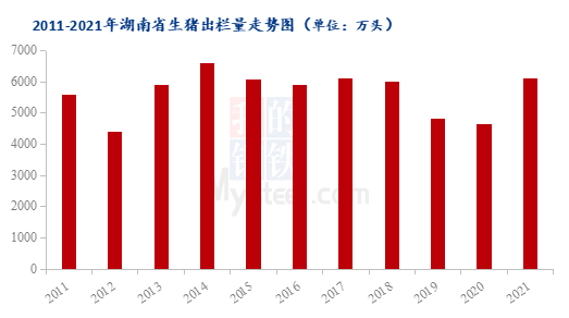 图3 2011-2021年湖南省生猪出栏量走势图