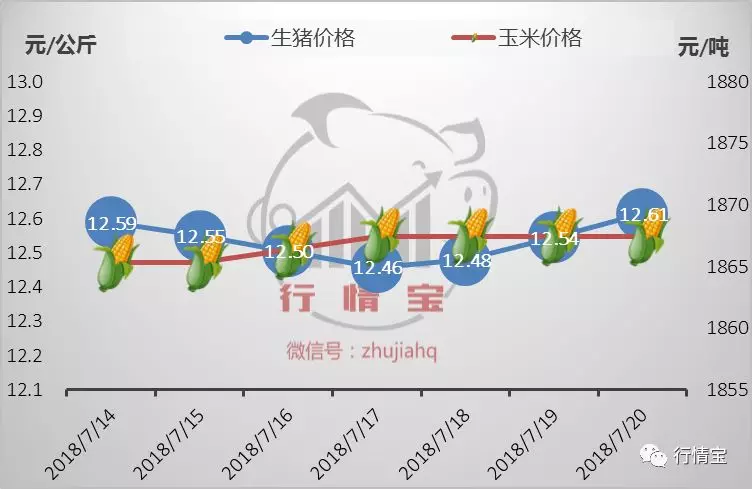 规模场再扛涨价大旗，下旬猪价上涨空间有多少？