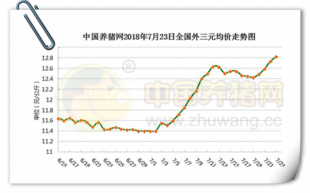 07月23日猪评：规模大场挺价意愿增强，猪价持续上涨之势！