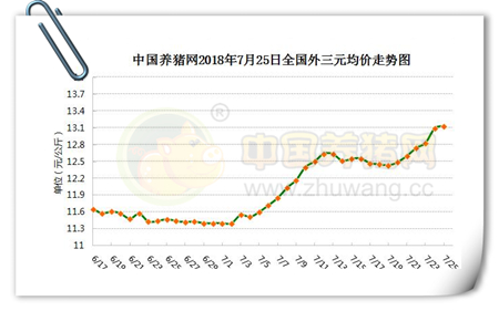 07月25日猪评：局地猪价涨至7元，后市涨幅或逐步收窄？