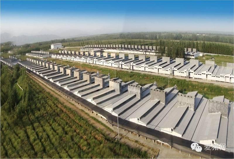 牧原股份与黑龙江富裕县签约32亿生猪产业扶贫项目；双鸽股份挂牌新三板……