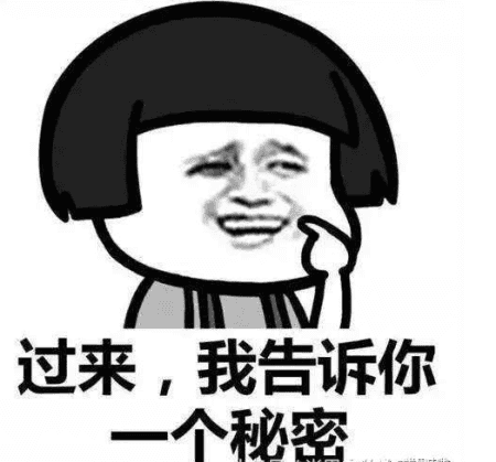 猪好多