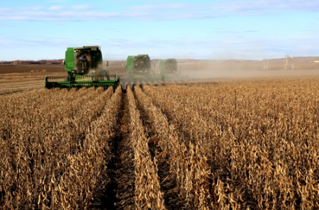 中国大豆缺口超9千万吨 将扩大南美采购大豆规模
