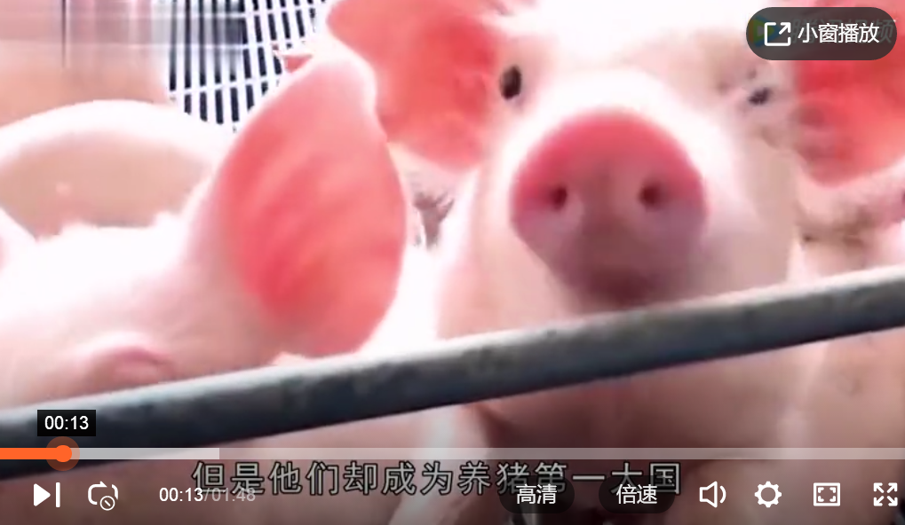 美国为何能成为养猪第一大国看人家处理猪粪的技术就明白了