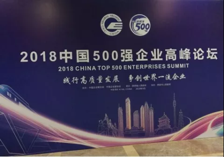 双胞胎强悍！2018中国500强企业排名上升25位，跃居322名
