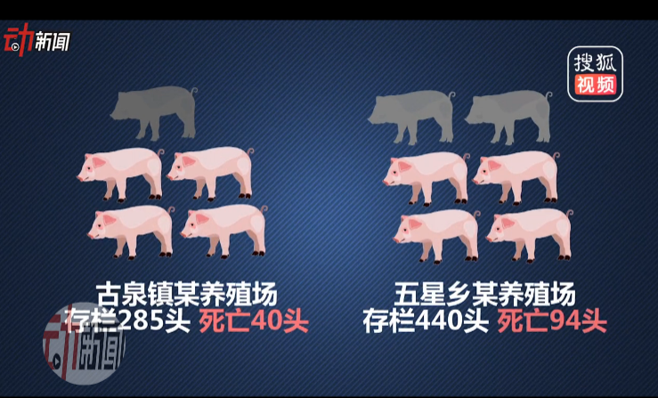 江苏宜兴发生非洲猪瘟疫情，全国已有8起