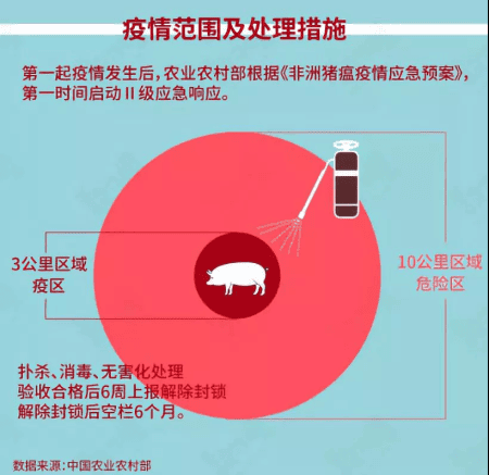 猪好多