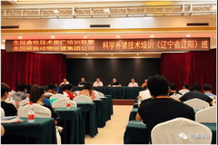 提升养猪理念、管理水平，改善生产成绩才是王道！