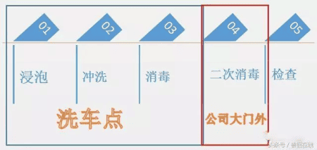 猪好多