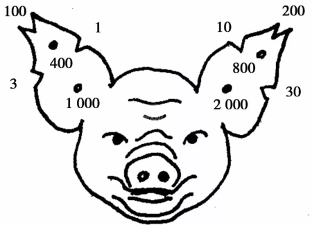 猪耳缺的读法图解图片