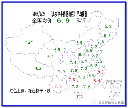 白条价格下跌，拉动毛猪价格指望不大！