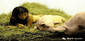 美女与猪同睡五年，还一丝不挂，这画面让人不敢直视