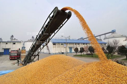 豆粕价格一周上涨150！2019年会不会涨的更高？