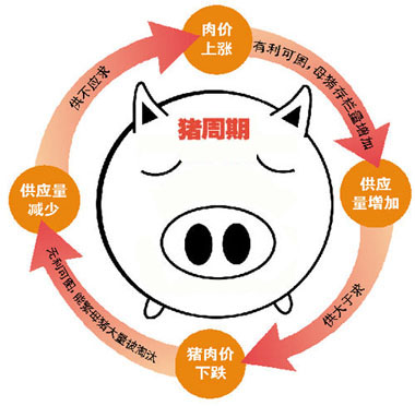 中国将引入生猪期货平抑“猪周期”
