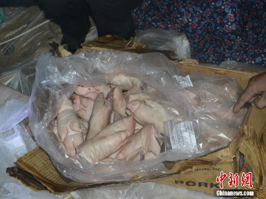 广西海警查获猪脚等走私冻品400多吨，案值逾800万