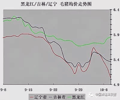 猪好多