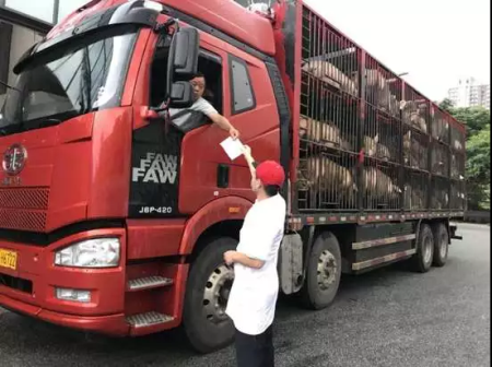 安徽祁门县连续处置两起非法运输生猪行为！