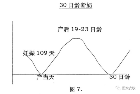 猪好多