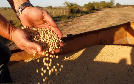 中美贸易摩擦重塑大豆进口格局，倒逼国内养殖业消费“降级”