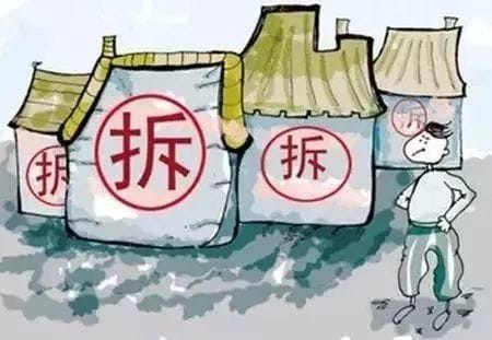 猪好多