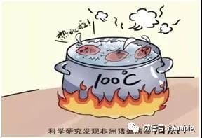 猪好多