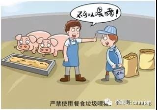 猪好多