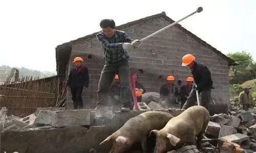 借环保牌毁灭中国人！