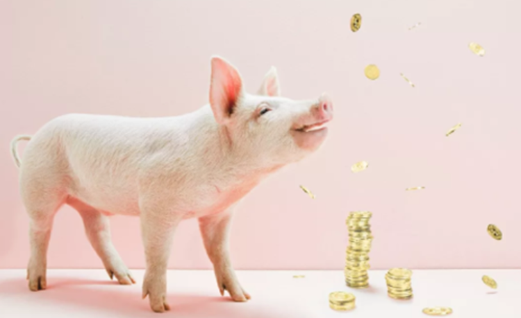 猪价行情在2019年中有望进入上行期