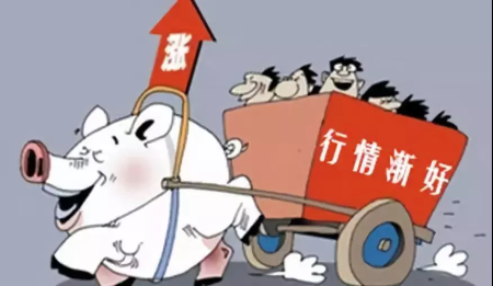 消费逐渐好转，养猪人春节前该把握哪些机遇？