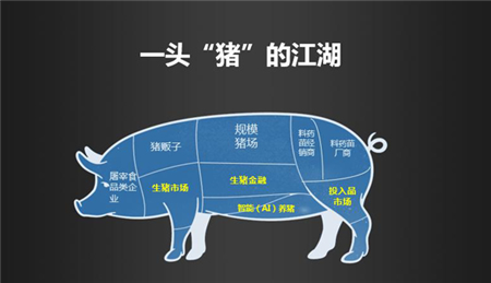 中国猪业高层论坛 | 薛素文：智慧养猪的核心是提升三个“竞争力”