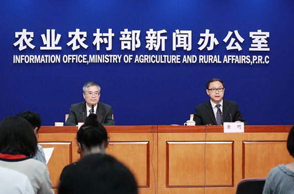 农业农村部：预计春节前生猪价格将保持稳中略降，供应充足