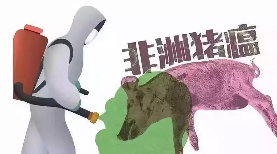 各地采取多种措施严防严控非洲猪瘟