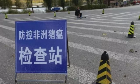最新！山东发生非洲猪瘟 养猪大省仅剩河北