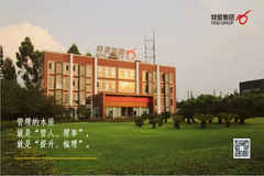 特驱之声 | 企业管理的“四条线”