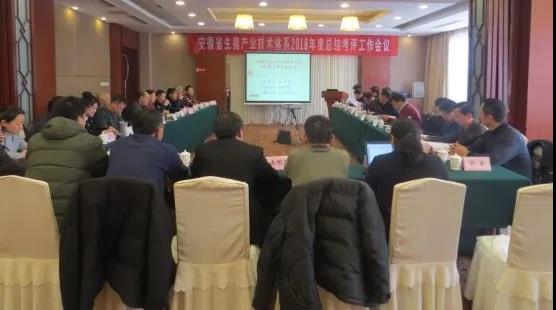 安徽省生猪产业技术体系2018年总结考评会议圆满落幕