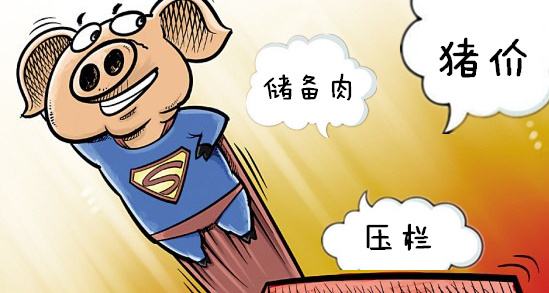 第二波5万吨冻猪肉收储开始！猪价是否将持续上涨？