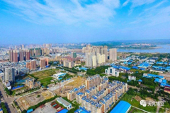 发挥龙头企业优势，助力产业扶贫