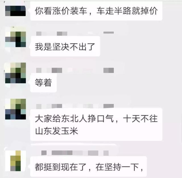 猪好多