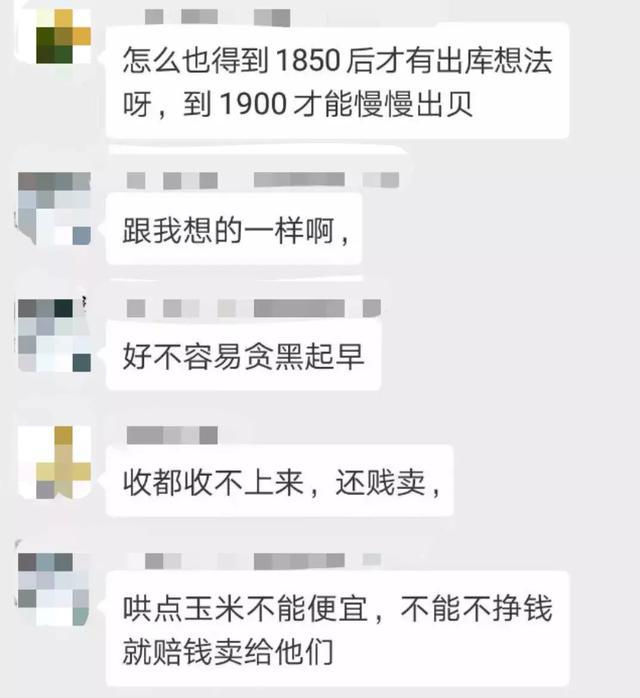 猪好多