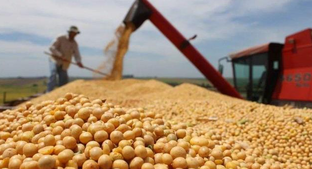 谈到第九轮了，中国累计购买1300多万吨大豆！