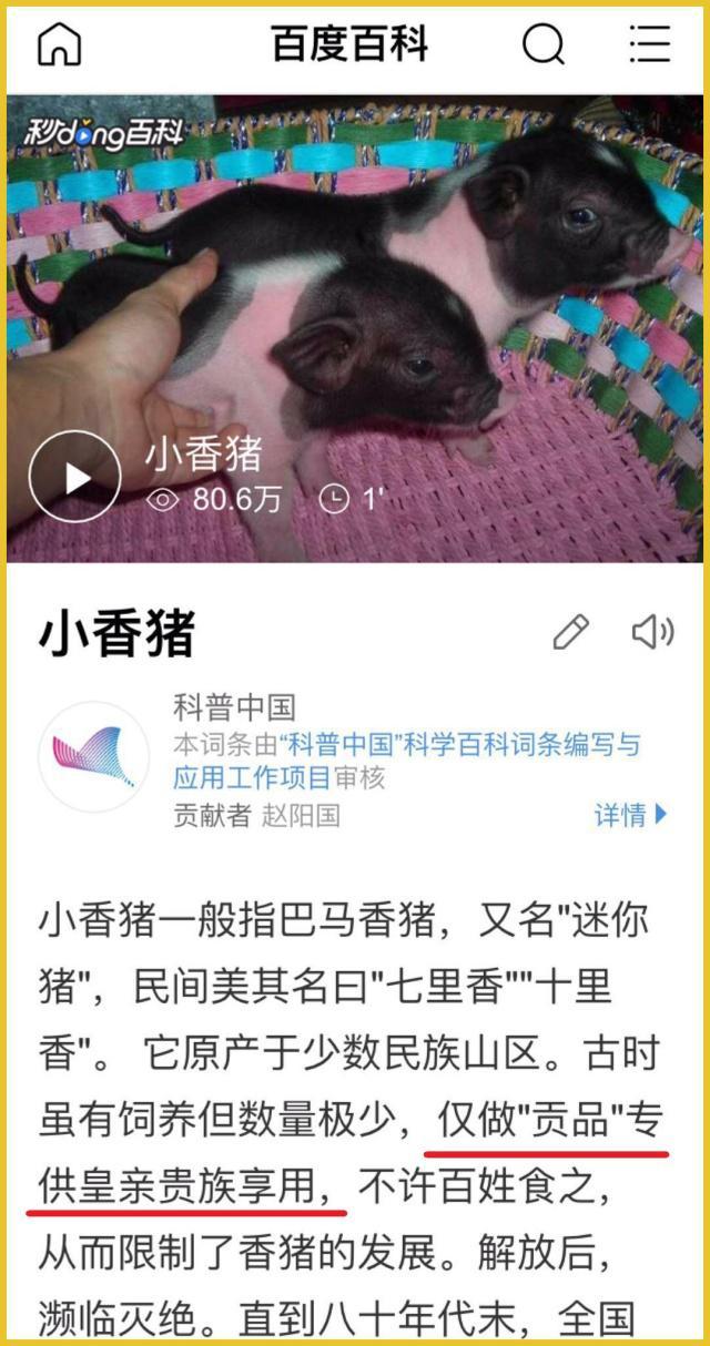 猪好多网