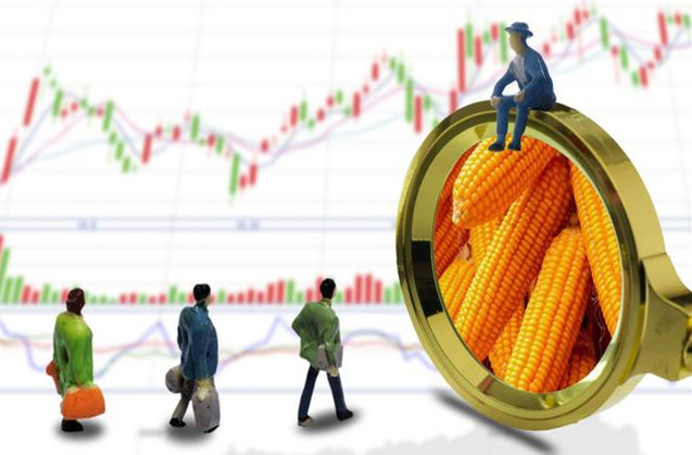 多地玉米价格上涨，利多利空双重影响，玉米价格走势能持续上涨吗？