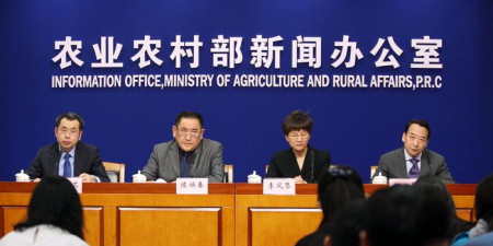 北京一天吃掉17000头猪 “猪肉大王”预测肉价走势