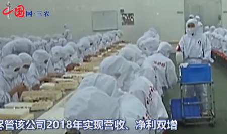 三全食品水饺收入近四年来首次下滑 猪瘟事件阴霾未散