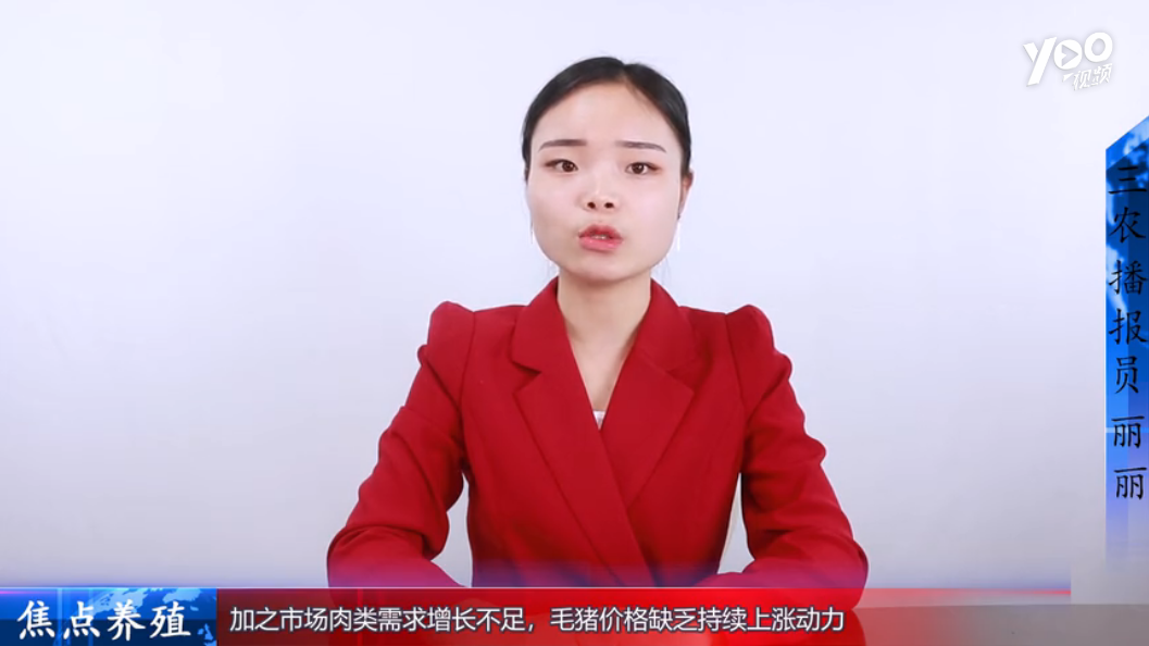 生猪价格依旧整体小幅下跌，是什么打压了毛猪价格走势？