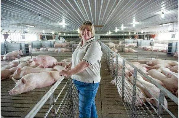 俄罗斯农业集团落子青岛，建设生猪养殖和饲料加工项目