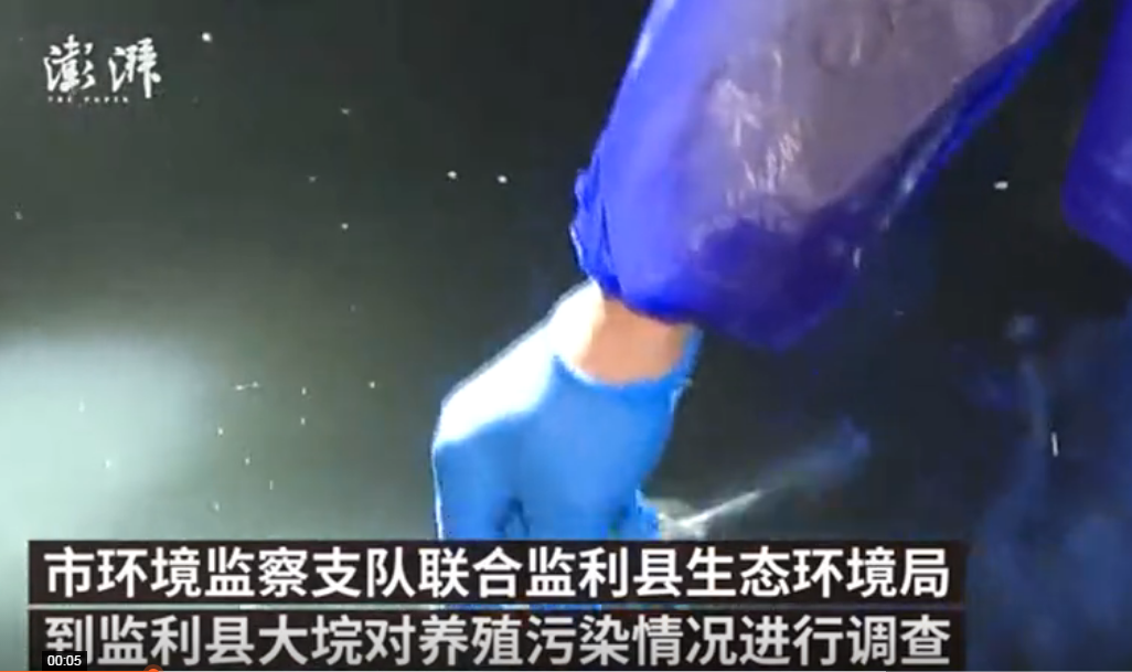  荆州一养猪场排污入长江，超标18.5倍